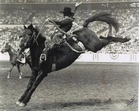 Chapman Terry Inductee Of The Texas Rodeo Cowboy Hall Of Fame