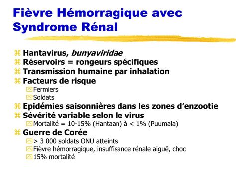 PPT La fièvre hémorragique du samedi soir PowerPoint Presentation