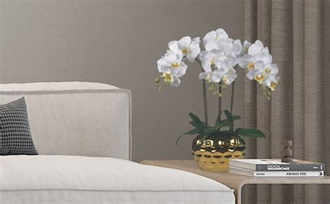 Wandw Artificial Orchid Plants And Flowers Arrangement In