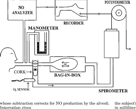 Figure From Chemiluminescent Measurements Of Nitric Oxide Pulmonary