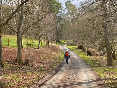 Track Near Skiprig Portmore Estate Jim Barton Cc By Sa 2 0