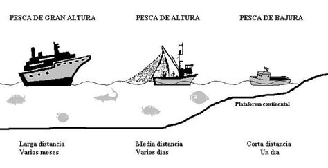 Cuales Son Las Caracteristicas De La Pesca Pesca Información