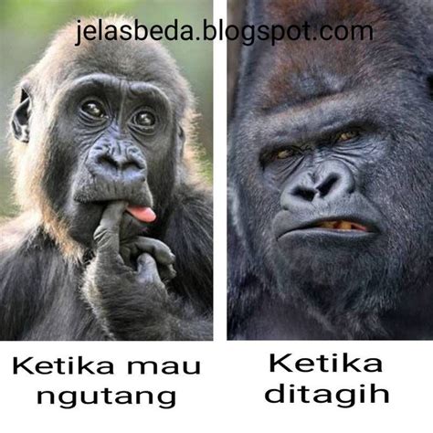 10 Meme Kocak Soal Susahnya Nagih Utang