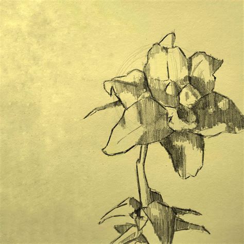 Random Photos Gay Amino