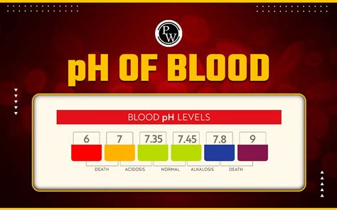 Ph Of Blood In Human Body Ranges Ph Changes Symptoms Causes