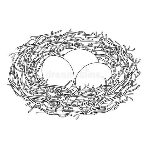 Vector Drawing Of Outline Bird Nest From Branch With Three Eggs In