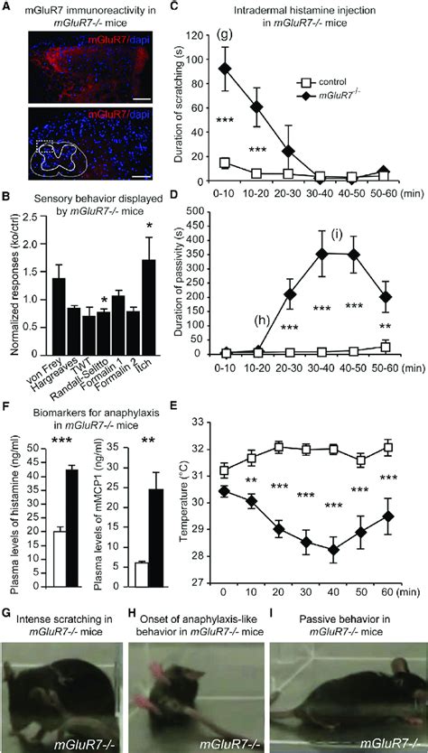 Intradermal Histamine Injection Induced Both Peripheral and Systemic... | Download Scientific ...