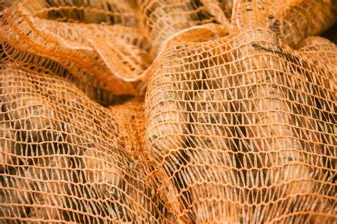 Какие сорта моркови лучше всего подходят для хранения: так вы точно не ...