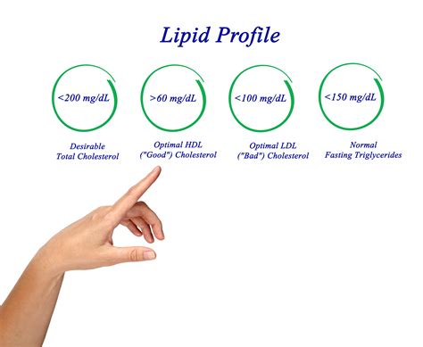 How Does The Body Use Lipids Healthfully