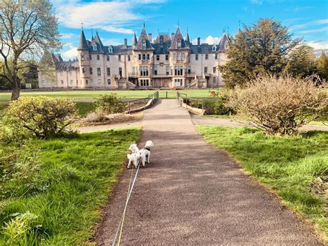 Dog Friendly Days Out - Visit Falkirk