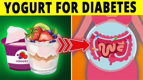 How To Choose The Best Yogurt For Diabetes My Top 24 Picks 46 OFF