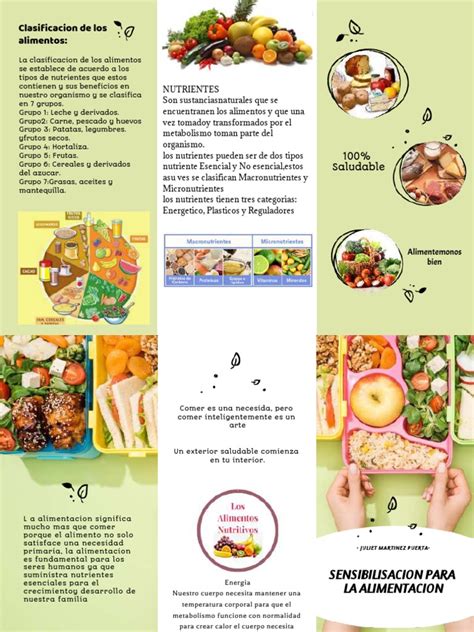 Clasificación Y Tipos De Nutrientes En Los Alimentos Pdf