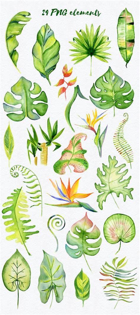 Tropical Clipart Tropical Leaves Floral Clipart Watercolor Etsy