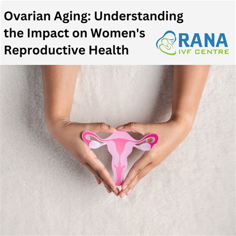 Ovarian Aging Understanding The Impact On Women S Reproductive Health