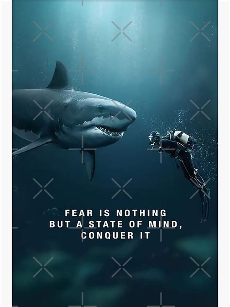 "fear is nothing but a State Of Mind Shark conquer it shark lover ...