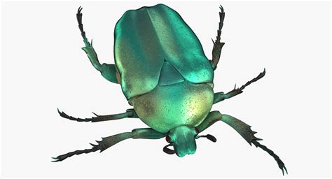 Green scarab beetle walking model - TurboSquid 1375618