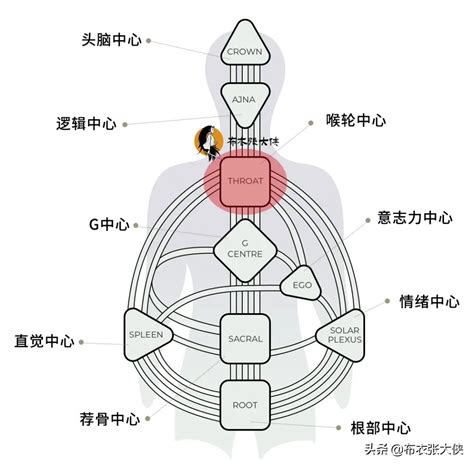 人類圖九大中心 下 頭條匯