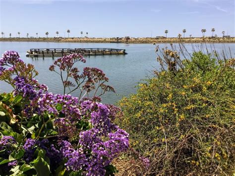 Hubbs Trail Tour At Agua Hedionda Lagoon San Diego Beach Secrets