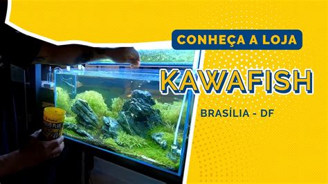 Loja De Aquarismo Kawafish Em Bras Lia Df Youtube