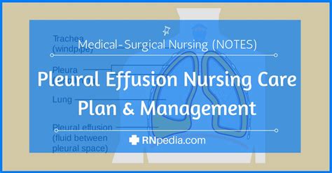 Pleural Effusion Nursing Care Plan And Management Rnpedia