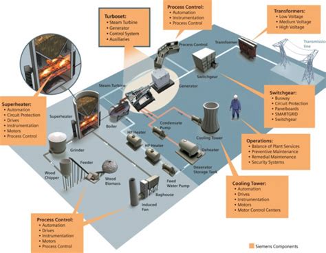 Biomass Plants Biomass