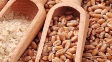 Govt Sets Conservative Target For Wheat Procurement At Million