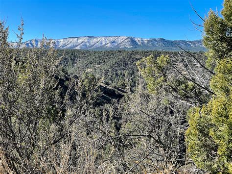 gila cliff dwellings   expect  visiting  ruins wanderer