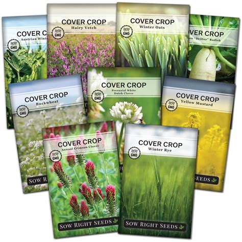 All Cover Crop Seed Collection For Fall Planting In Home Gardens Sow Right Seeds