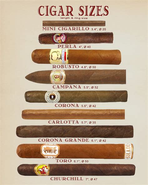 Cigar Art Cigar Size Chart Discounted Set Of 4 Cigar Etsy