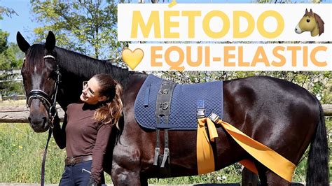 Trabajo A La Cuerda Caballo Equielastics Youtube