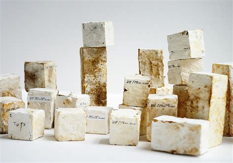 Mycelium-bound building materials Sustainable Construction, KIT ...