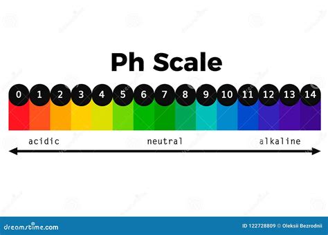 Carta Del Vector De La Escala Del Ph Ilustraci N Del Vector