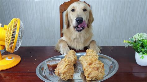 Dog Asmr Eating Food Dog Eat Fried Chicken Love Usa Youtube