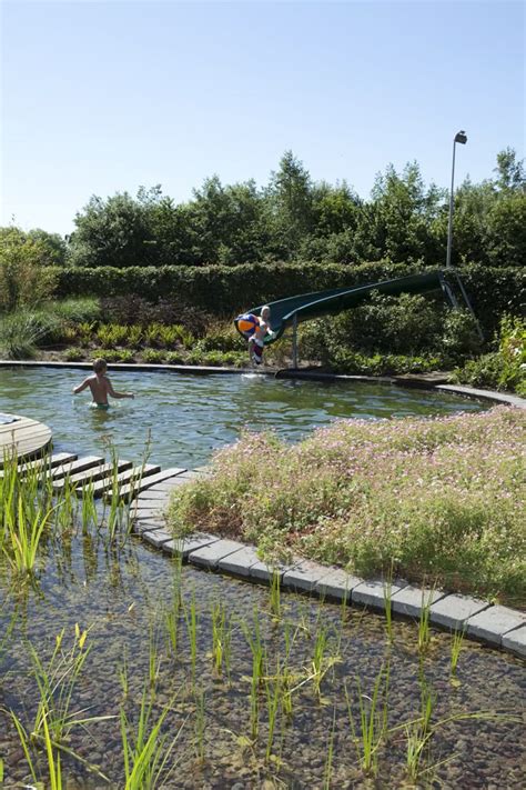 Gardenswimm Snoek Puur Groen Zwemvijvers Natuur Zwembaden