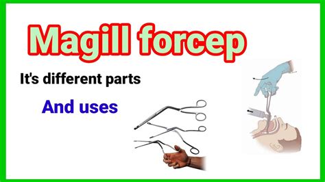 Magill S Forcep Its Different Parts And Uses