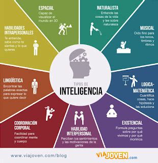 Infografía de tipos de inteligencia