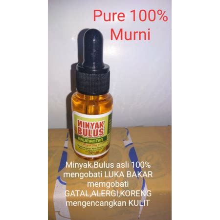 Jual Minyak Bulus Kura Kura Kalimantan Pure Original Natural