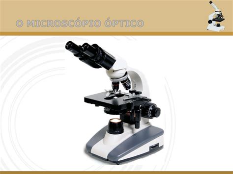 MICROSCÓPIO ÓPTICO FUNDAMENTOS Microbiologia