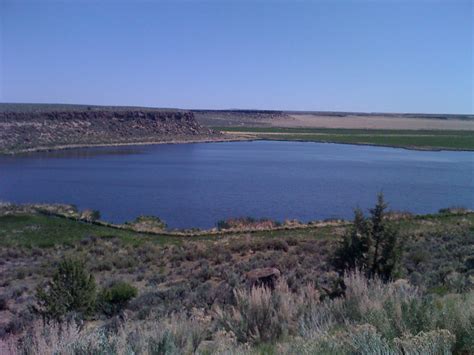 Malheur Lake Home To Many Resident And Migrating Waterfowl Grebes