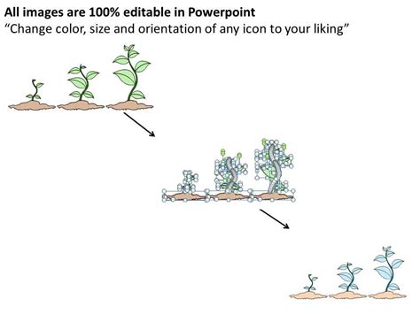 1113 Business Ppt Diagram 3 Steps Growing Plants Powerpoint Template