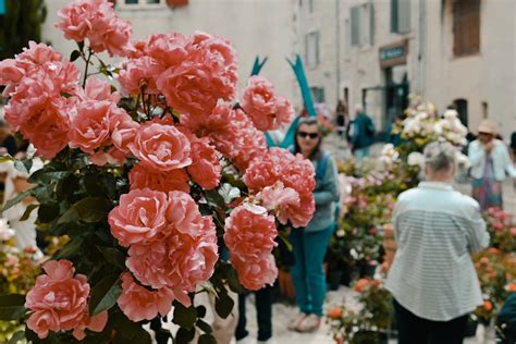 Bryan Masson On Twitter Aujourdhui Cest La F Te De La Rose