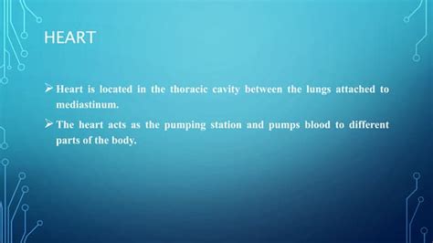 Heart circulation .ppt | Free Download