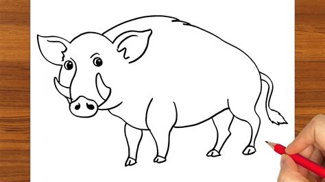 Wild Boar Drawing Step By Step How To Draw A Wild Boar Easy