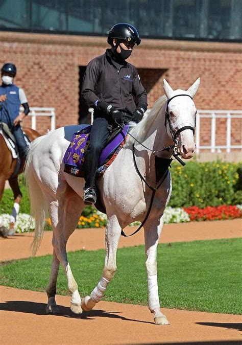 【札幌記念】史上初白毛対決 ソダシは5枠10番、いとこのハヤヤッコは4枠7番 武豊マカヒキは1枠1番― スポニチ Sponichi Annex