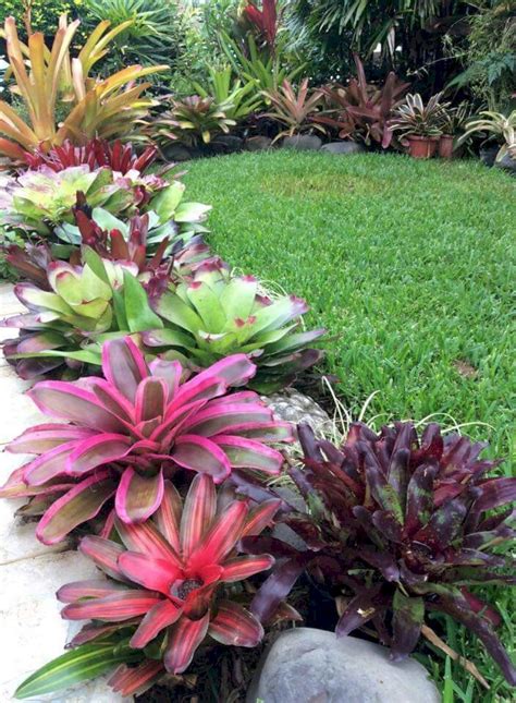 Beautyful And Creative Flower Bed Ideas To Try Jihanshanum Tropical