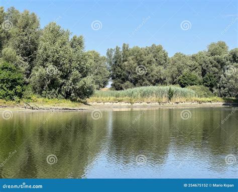 Lago Veliki Sakadas E Plan Cies Aluviais Kopacki Rit Natural Park