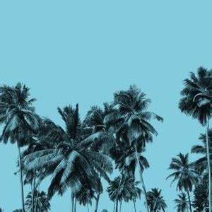 Radio Bikini Rotten Tomatoes