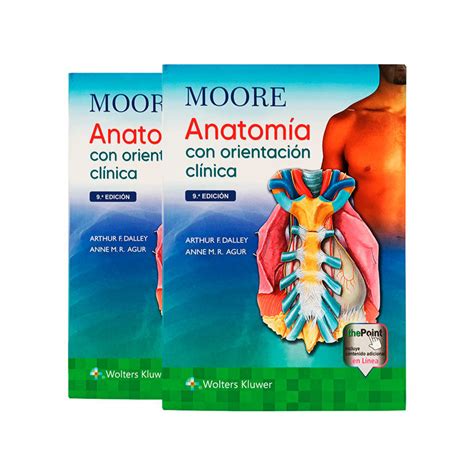 Moore Anatomia 9 Edição Pdf - MOORE - Anatomía con Orientación Clínica (9.ª Edición) — Castellanos