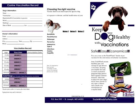 Do Inside Dogs Need Shots