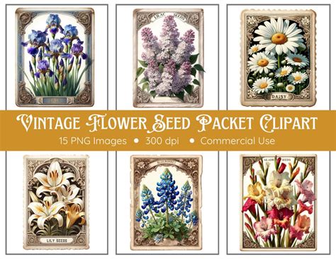 Vintage Flower Seed Packet Clipart Pack 15 Pngs Transparent Background